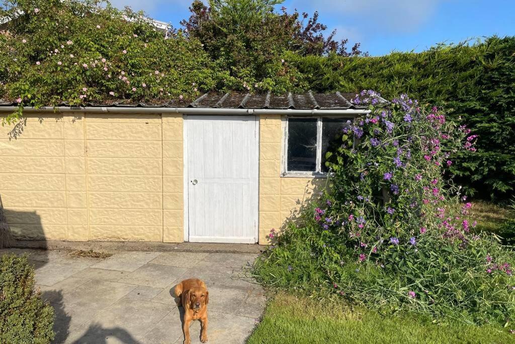 3 Bed Bungalow In Winchcombe, Cotswolds,Gloucester Buitenkant foto